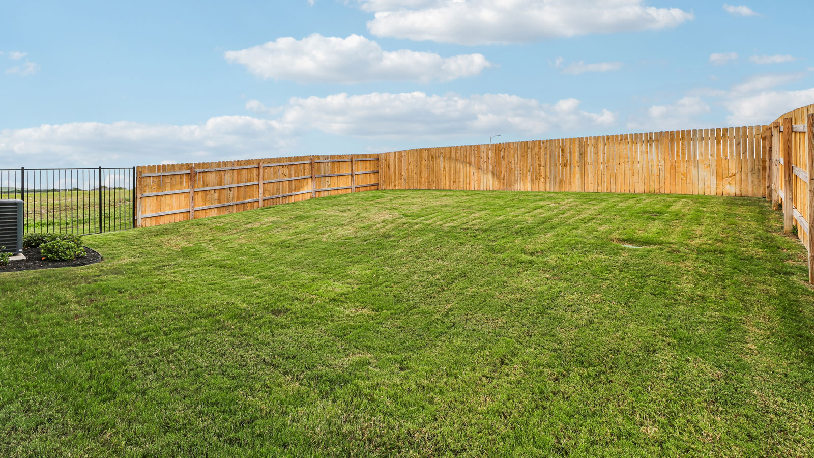 Forest Floorplan Exterior Back at Trails at Wildhorse