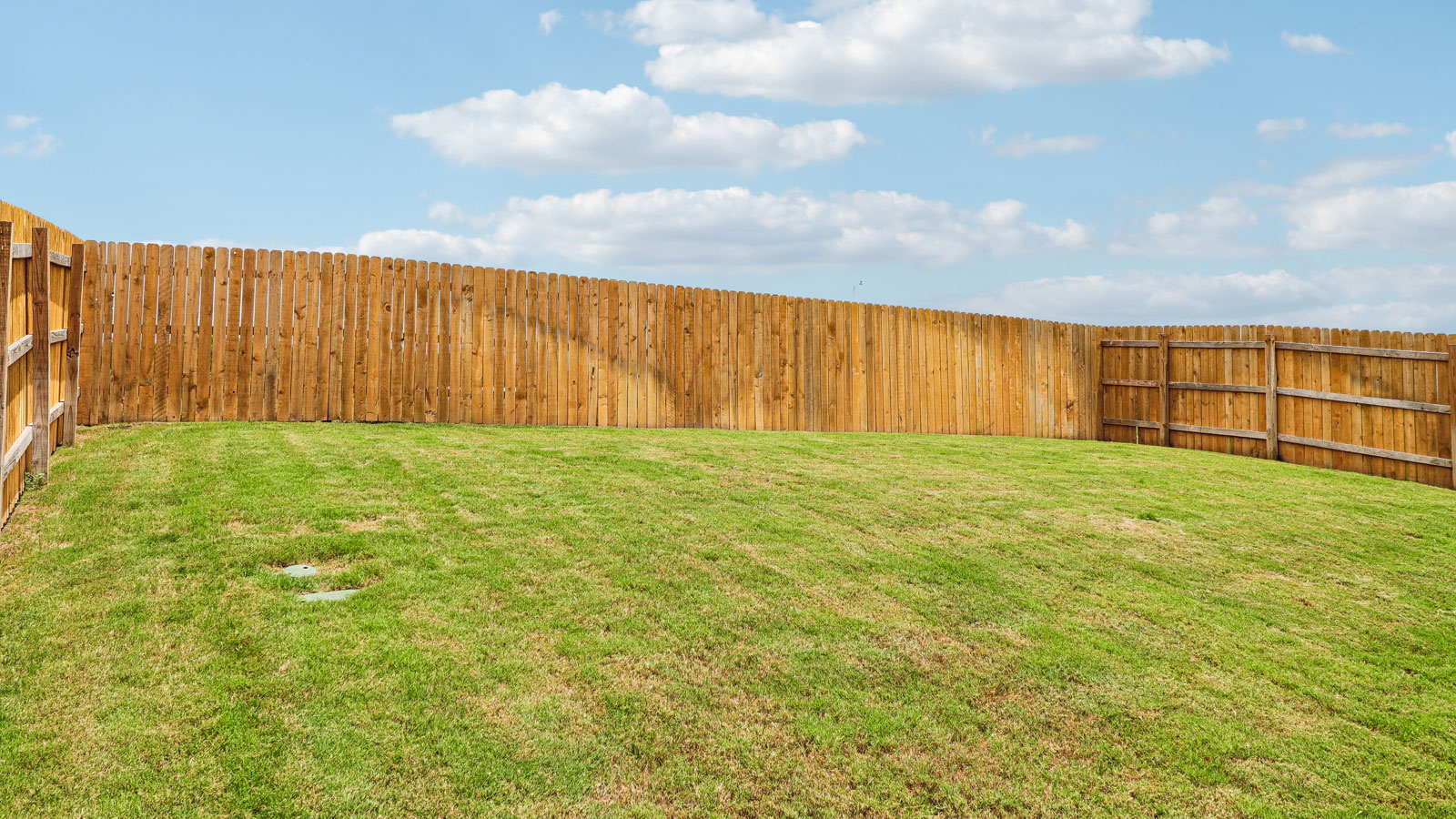Forest Floorplan Exterior Back at Trails at Wildhorse