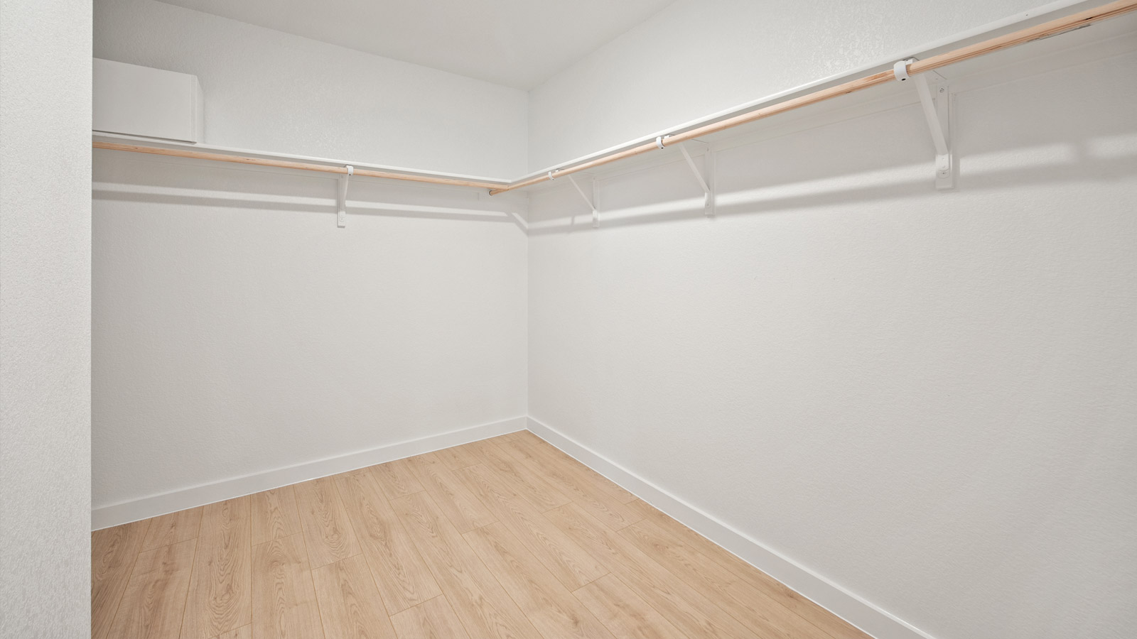 Spacious walk-in closet.