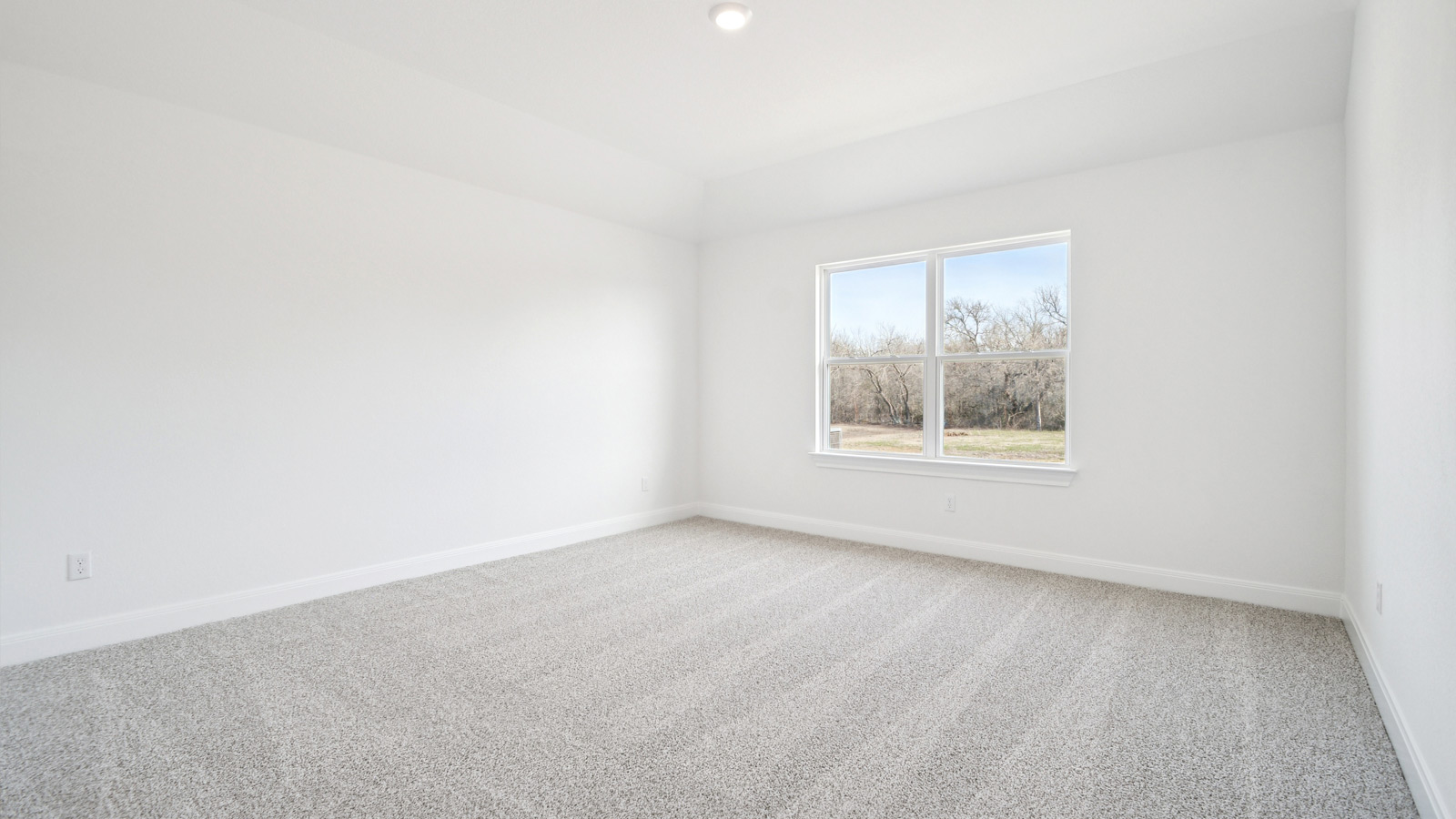 Primary bedroom with carpeted flooring and large window.