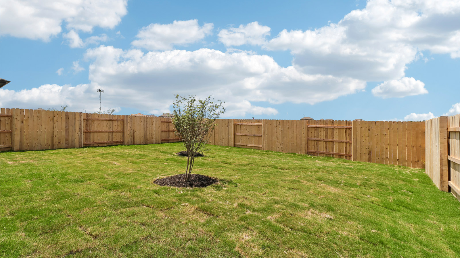 Spacious Backyard