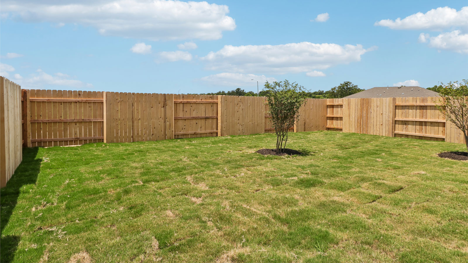 Spacious Backyard