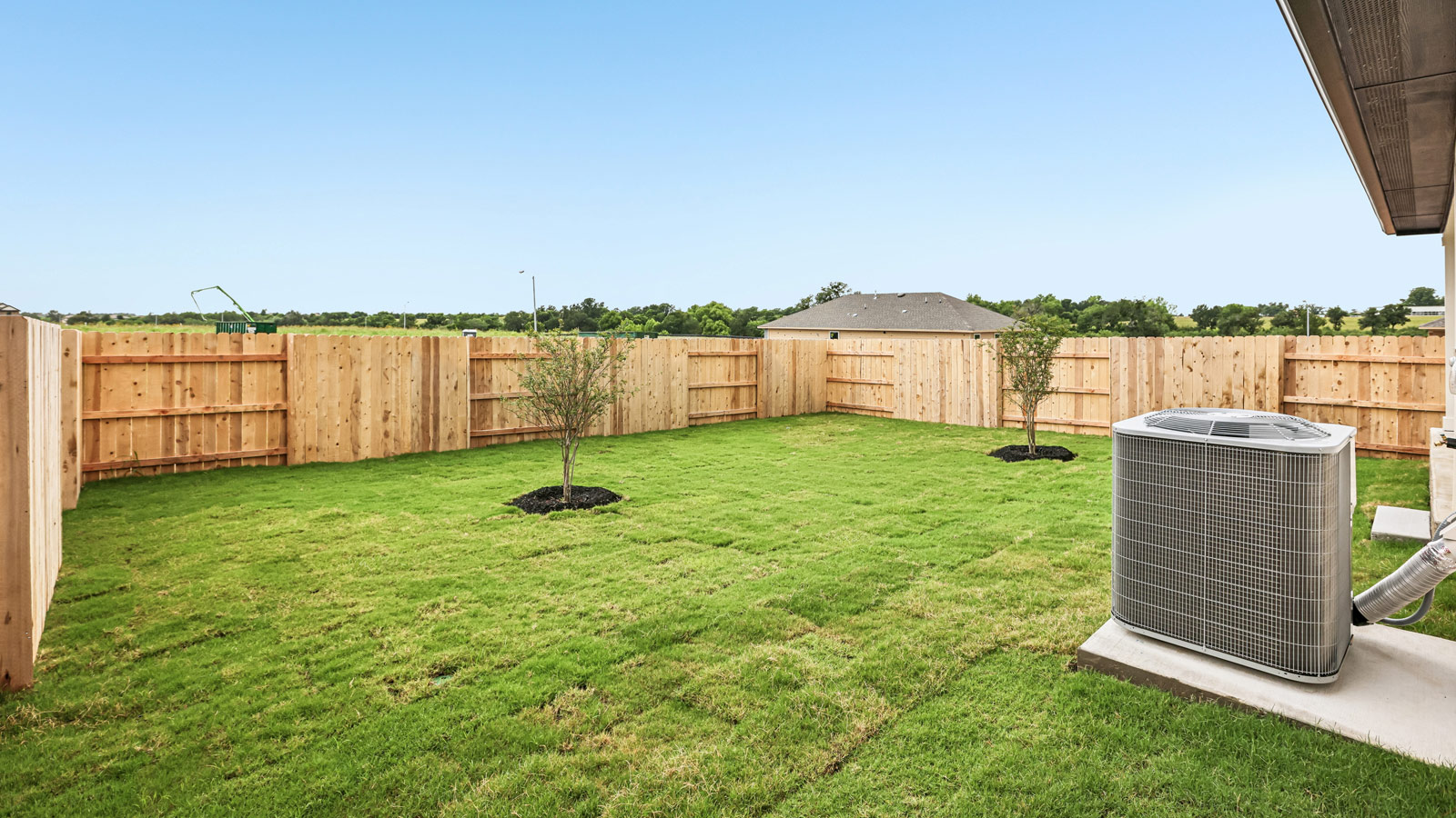 Backyard View