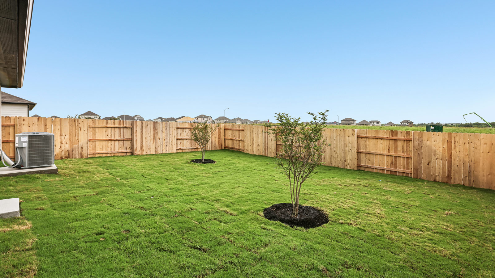 Backyard View
