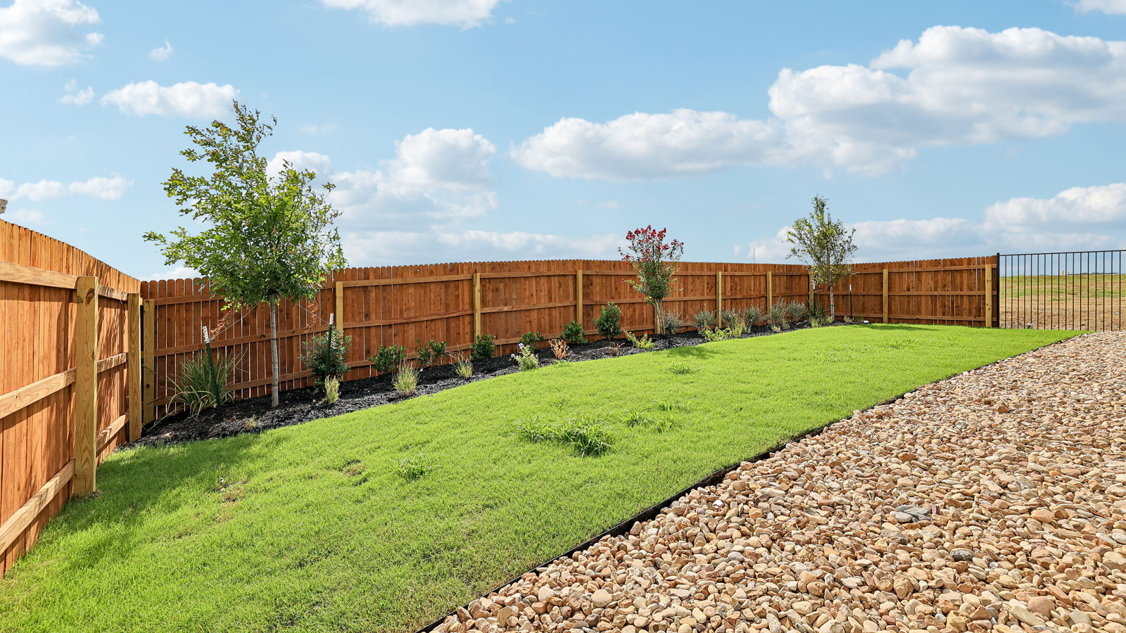 Backyard of model home at Revelry in Del Valle, TX.