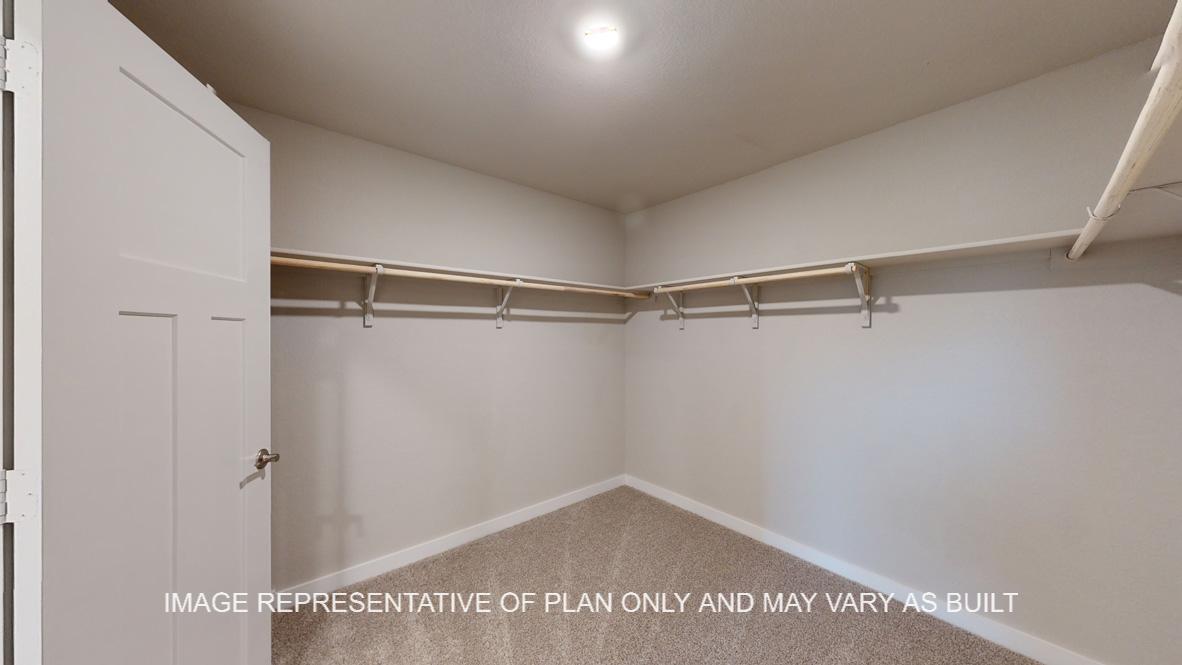 Caden large primary walk-in closet with carpet flooring.
