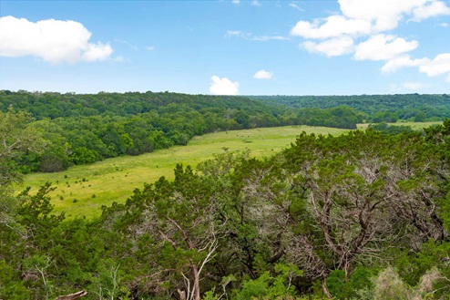 Three Creeks Colt Creek Belton TX.