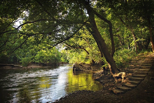 Three Creeks Colt Creek Belton TX.