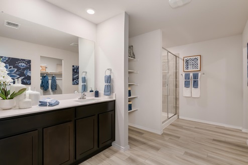 Willow Glenn model home primary bathroom with dark cabinets and single vanity with mirror.
