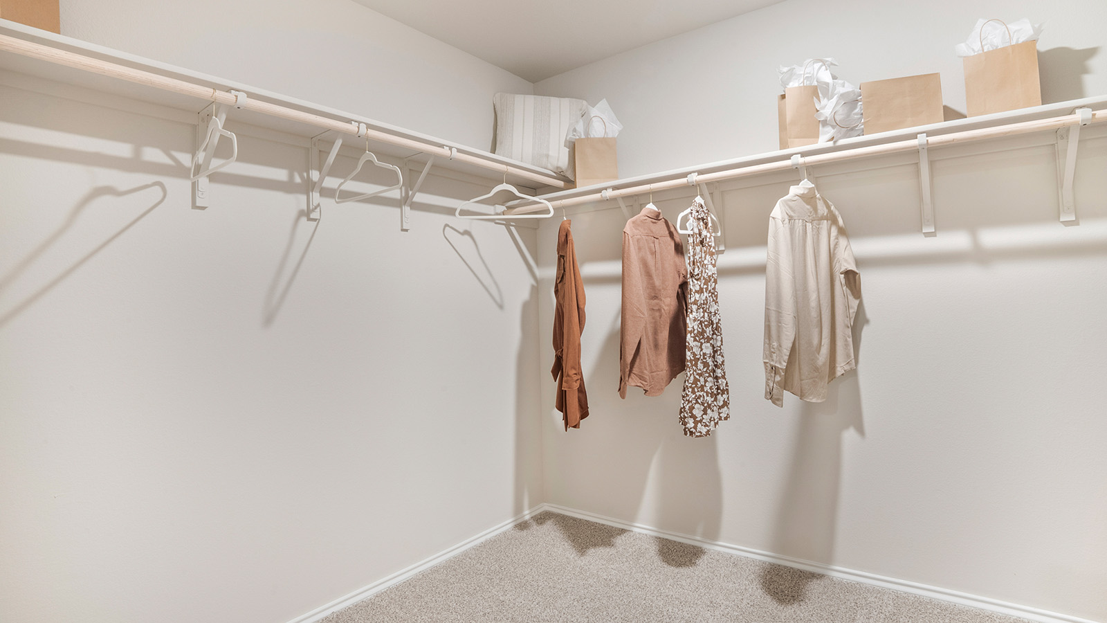 Pecan Creek Model Texas Cali primary walk-in closet with carpeted flooring and shelving for storage.
