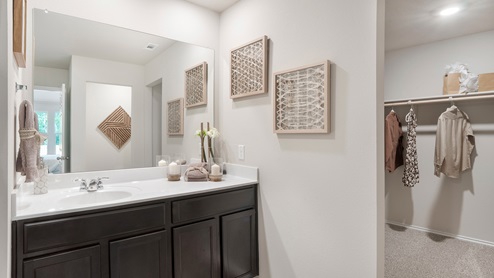 Pecan Creek Model Texas Cali primary bathroom with vanity sink and view of primary walk-in closet.