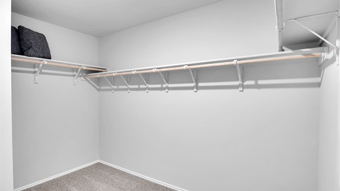 Lake Pointe Terrace primary walk-in closet with carpeted flooring.
