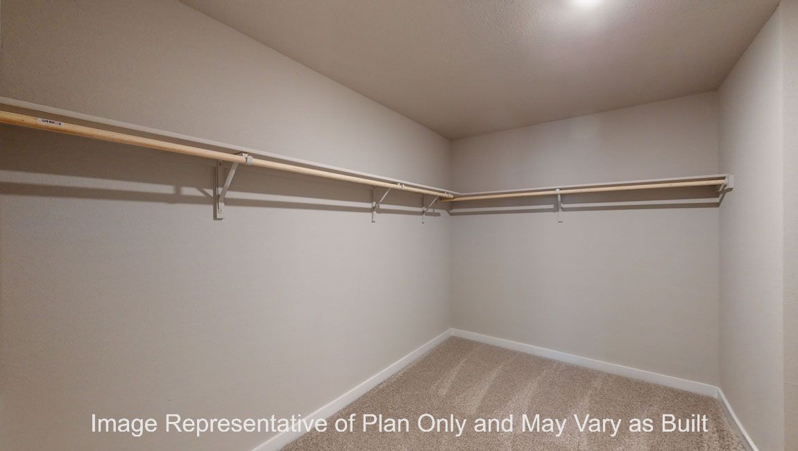 Harris primary bedroom walk-in closet with carpet flooring.