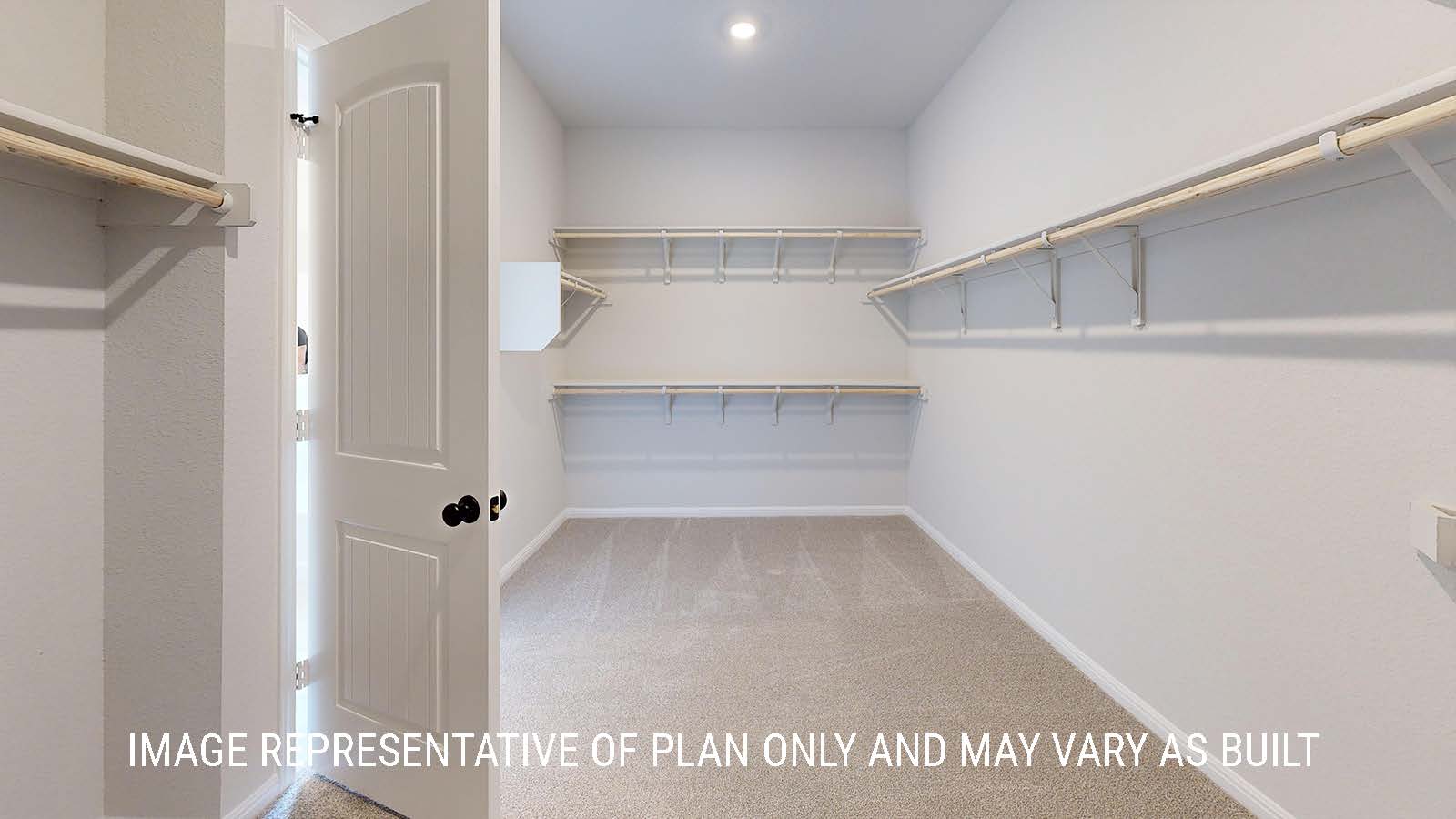 Waverley primary closet with carpeted flooring and shelving for storage.