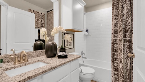 Delaware Springs model home secondary bathroom with bathtub and shower combo.