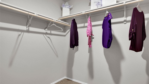 Reynold Crossing model home primary bedroom walk-in closet with carpet flooring.