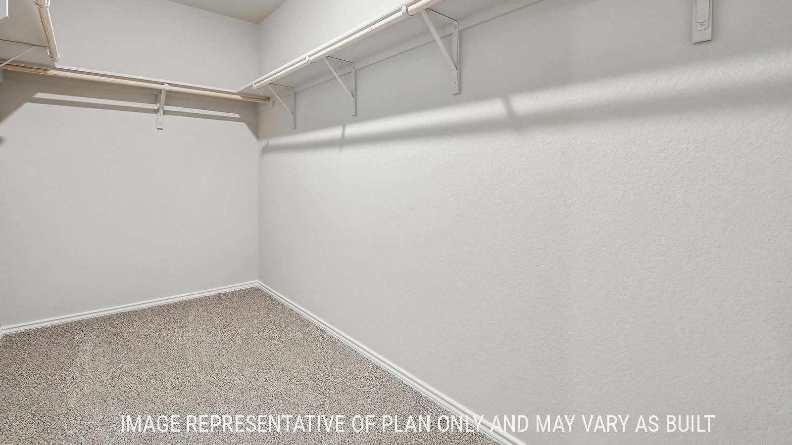 Callahan primary bedroom closet with carpeted flooring and shelving for storage.
