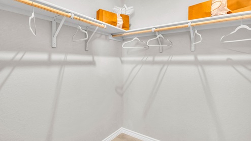 Country Meadows primary bedroom closet with carpet flooring and spacious room.