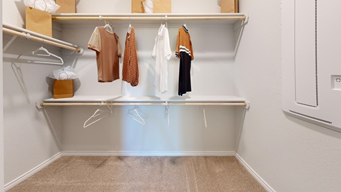 Newburgh primary walk-in closet with carpeted flooring and shelving for storage.