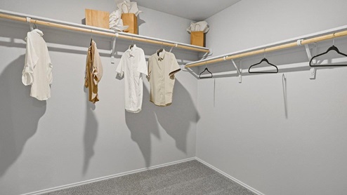 Mesa Ridge model home primary bedroom walk-in closet with carpeted flooring and shelving for storage.