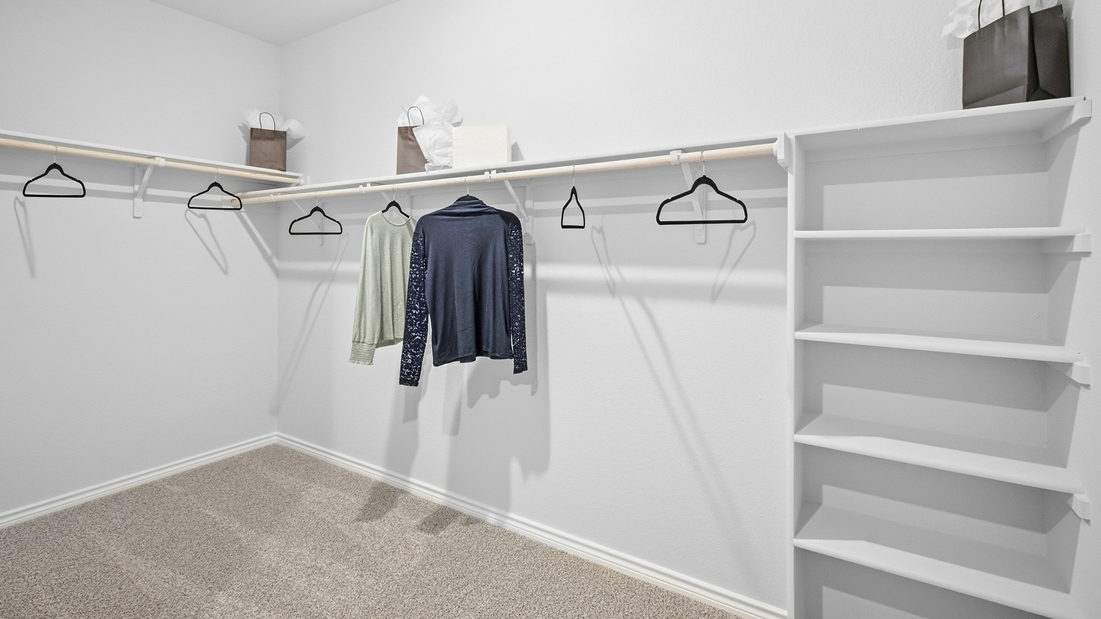 Homestead Model primary bedroom closet with carpeted flooring and shelving for storage.