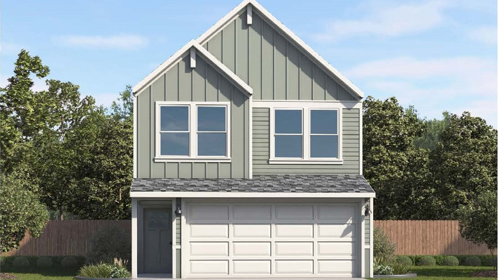 Hibiscus Elevation B.