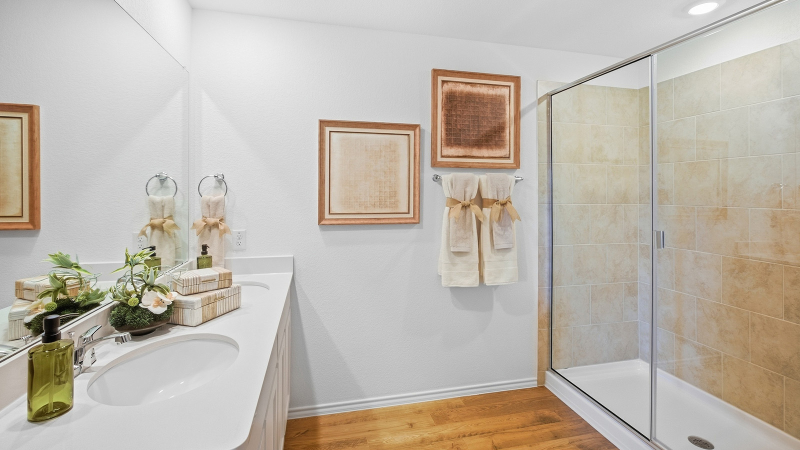 Wildwood Model primary bathroom with vanity sink and view of walk-in shower.
