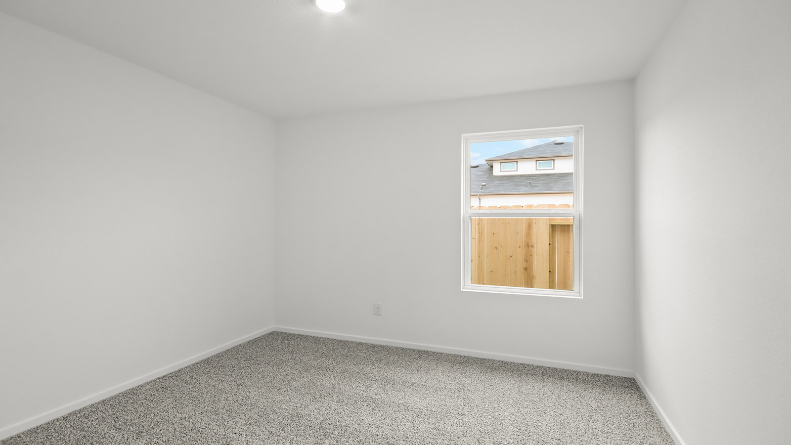 Secondary bedroom with shag carpet flooring and bright window