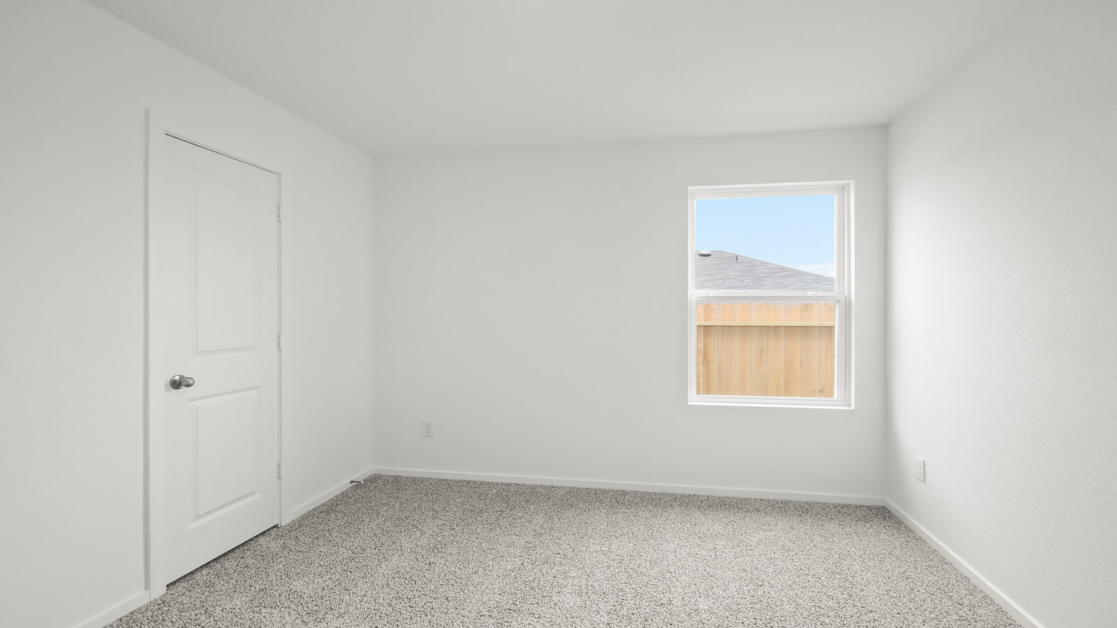 Secondary bedroom with shag carpet flooring and bright window
