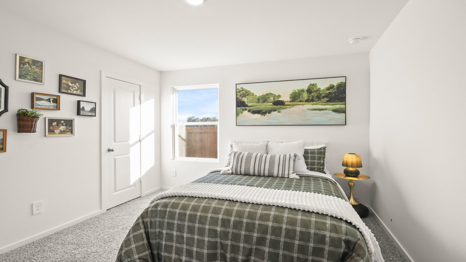 Secondary bedroom with shag carpet flooring and bright window