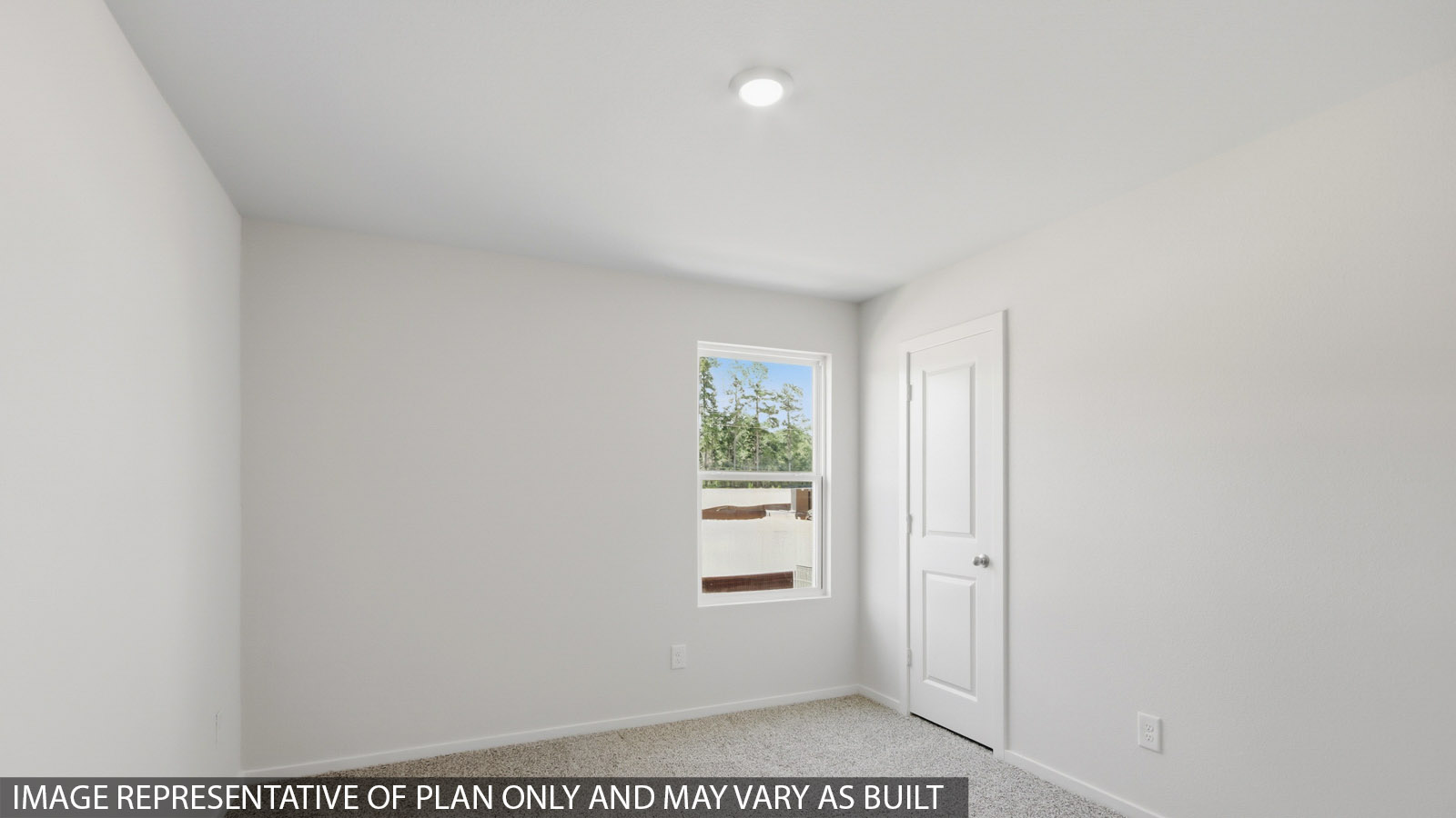 Secondary bedroom with shag carpet flooring and bright window