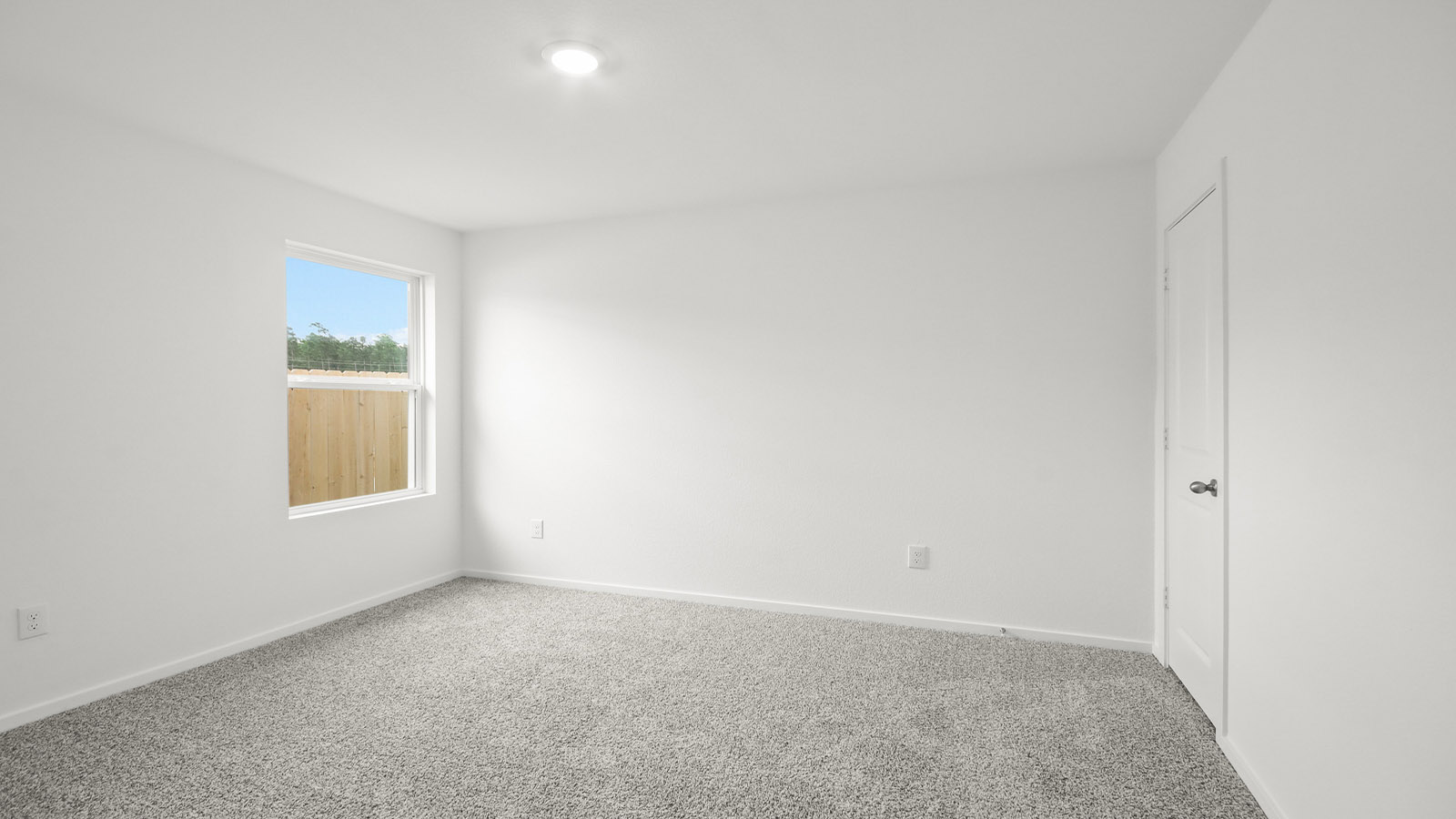 Secondary bedroom with shag carpet flooring and bright window