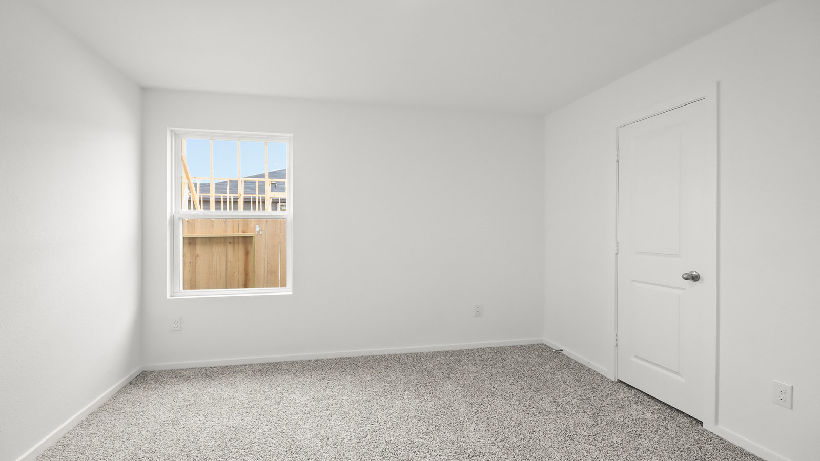 Secondary bedroom with shag carpet flooring and bright window