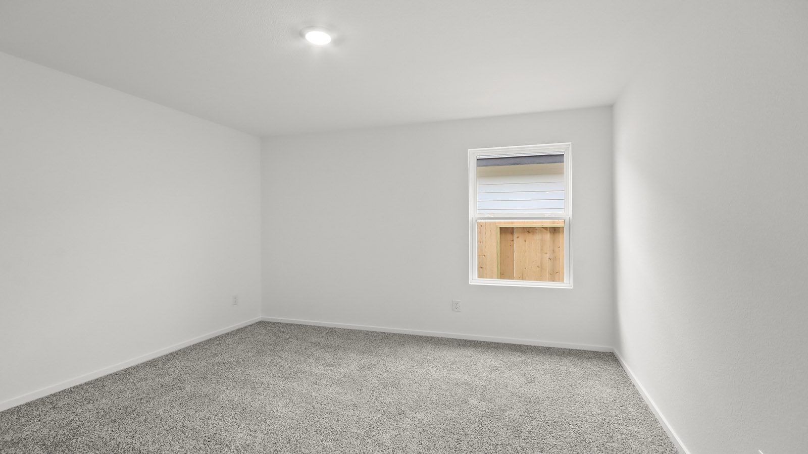 Secondary bedroom with shag carpet flooring and bright window