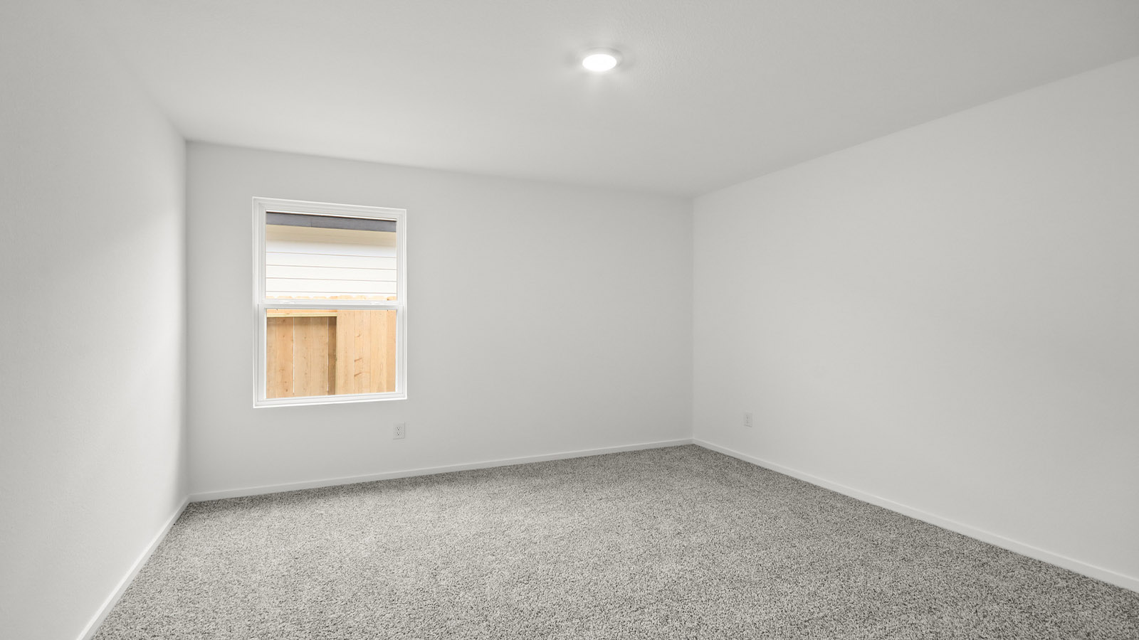 Secondary bedroom with shag carpet flooring and bright window