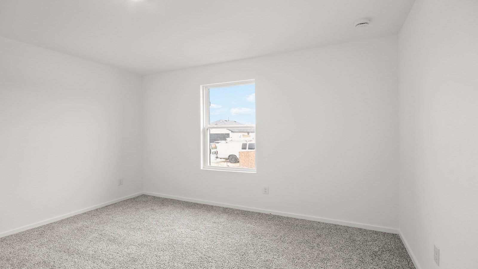 Secondary bedroom with shag carpet flooring and bright window