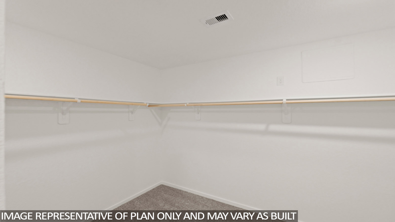 .Primary walk-in closet with carpet flooring