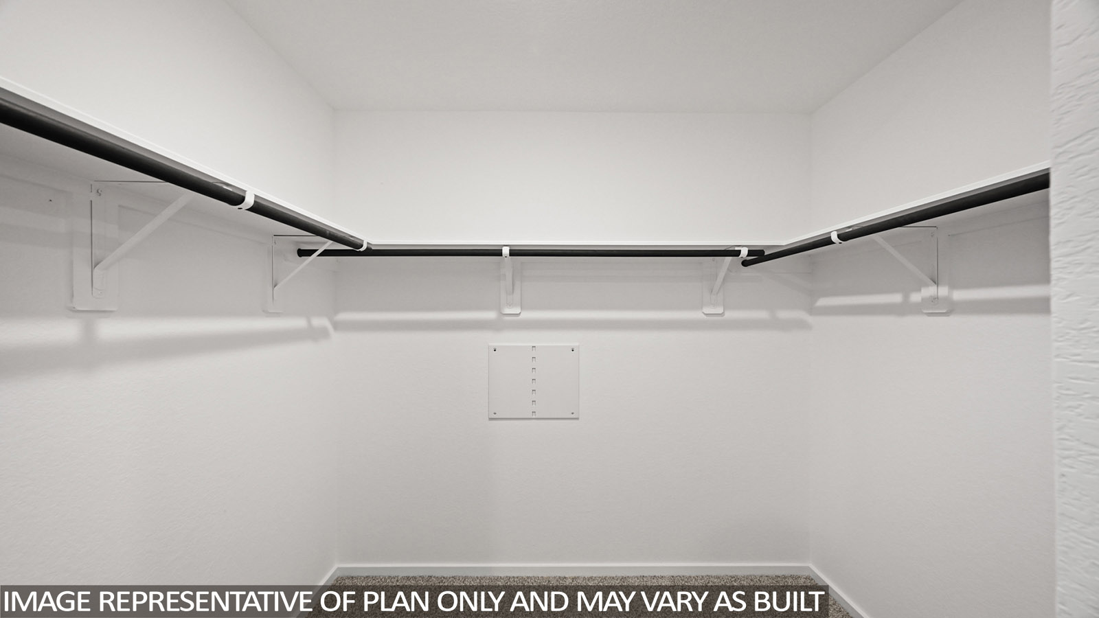 Primary walk-in closet with carpet flooring