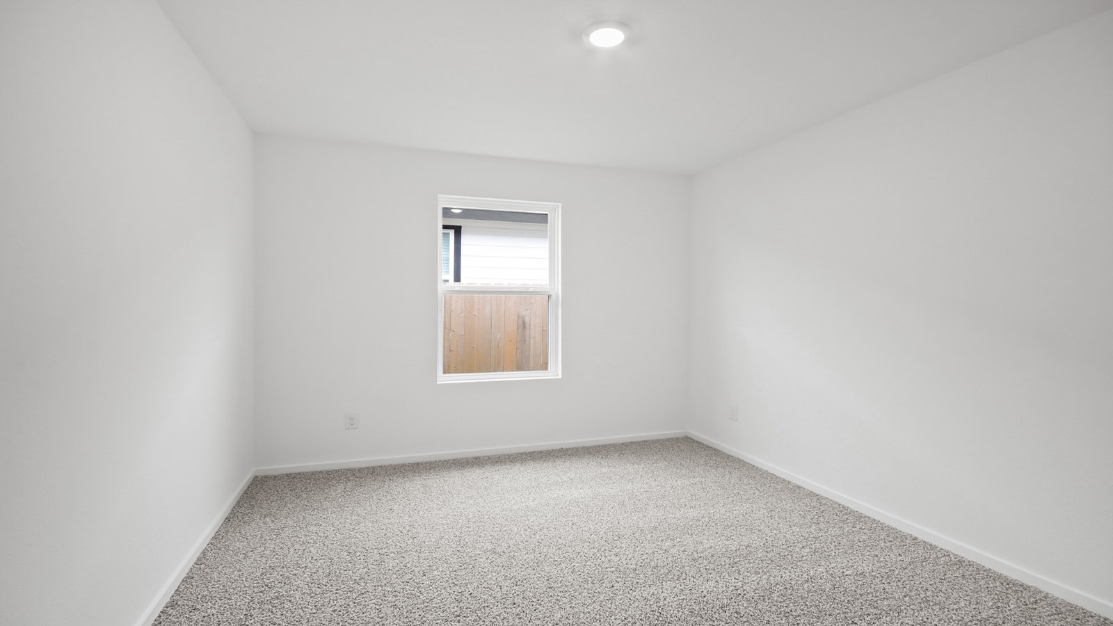 Secondary bedroom with shag carpet flooring and bright window