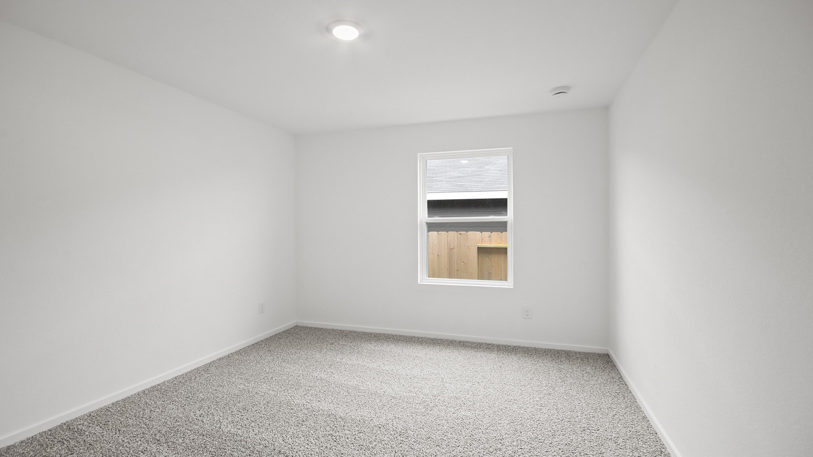 Secondary bedroom with shag carpet flooring and bright window
