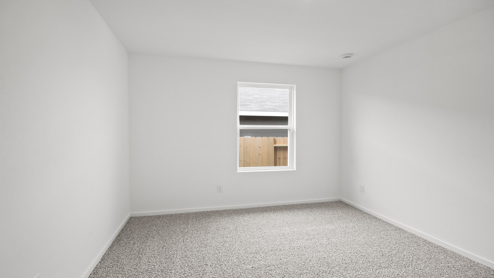Secondary bedroom with shag carpet flooring and bright window