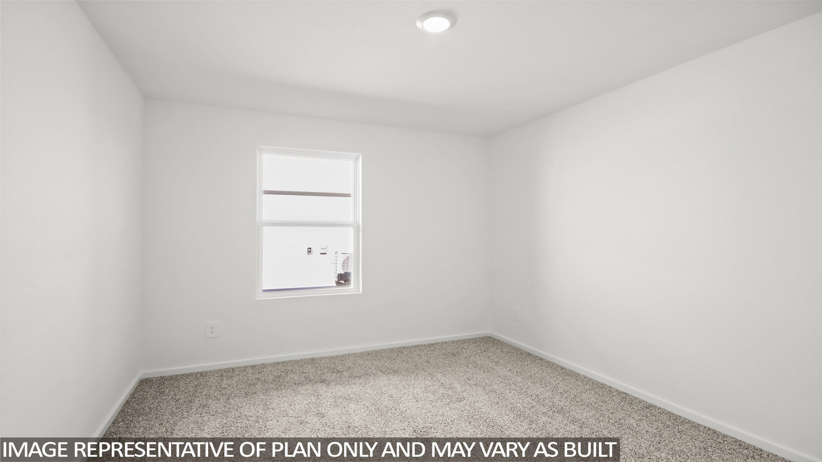 Secondary bedroom with shag carpet flooring and bright window