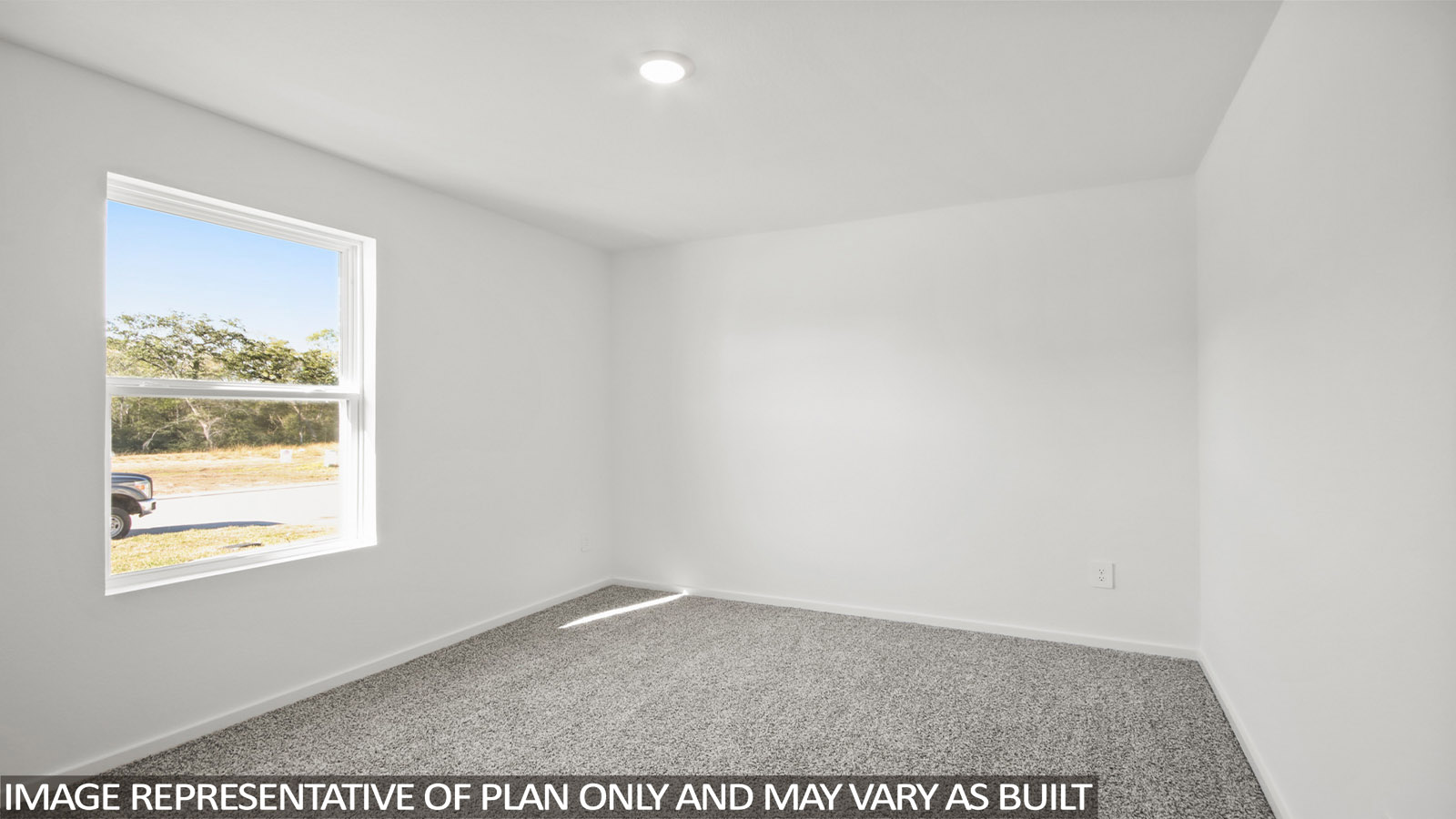 Secondary bedroom with shag carpet flooring and bright window