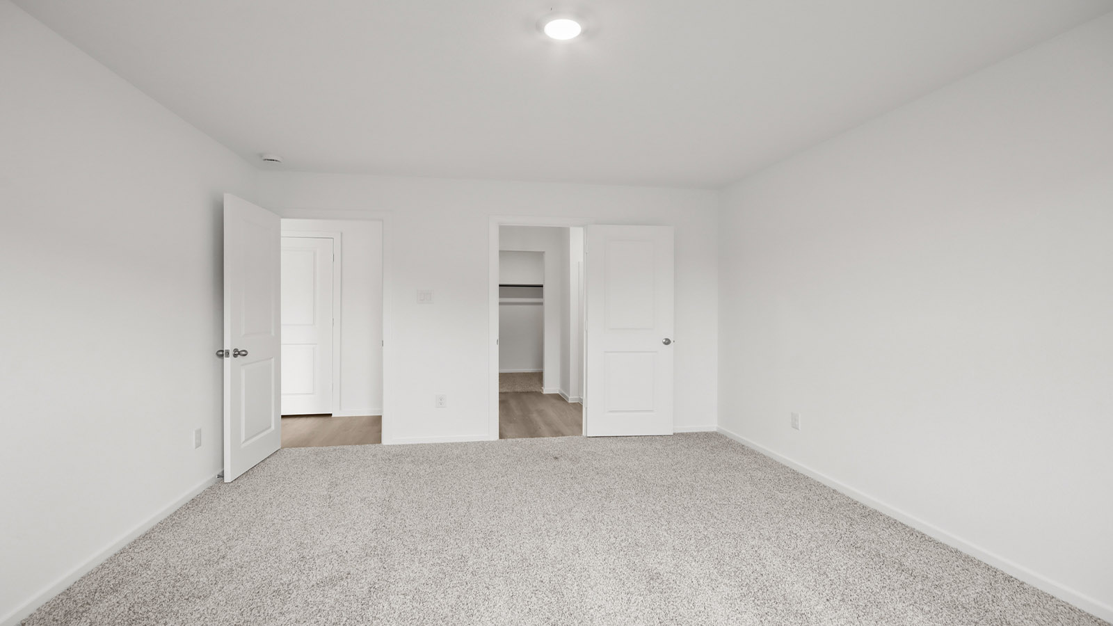 Large Primary bedroom with shag carpet flooring and bright window