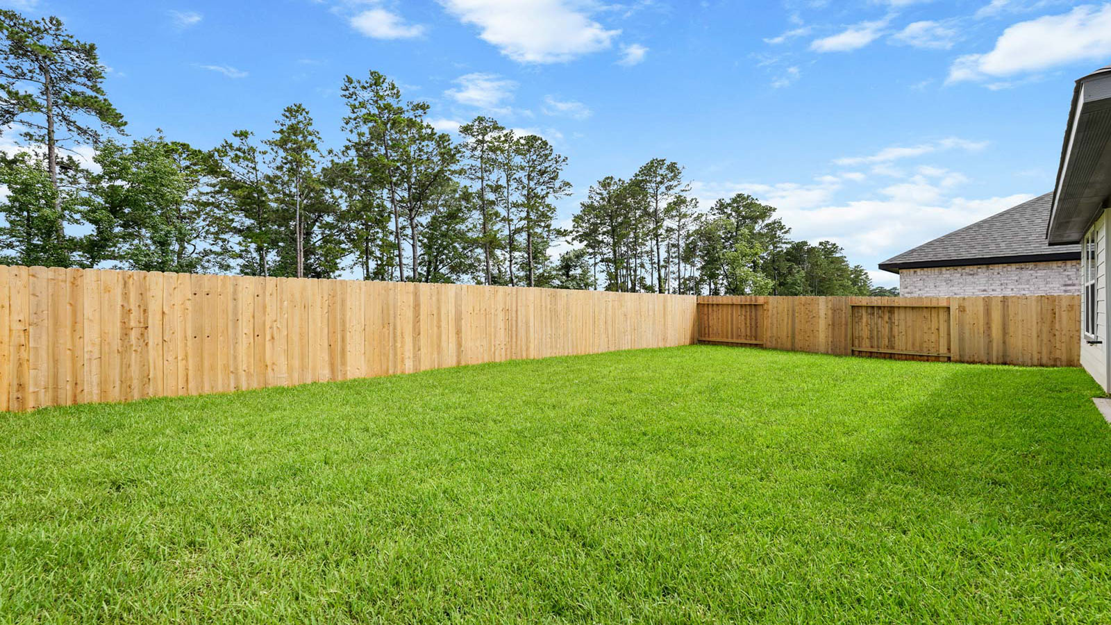 Fully soded backyard that is fully fenced in
