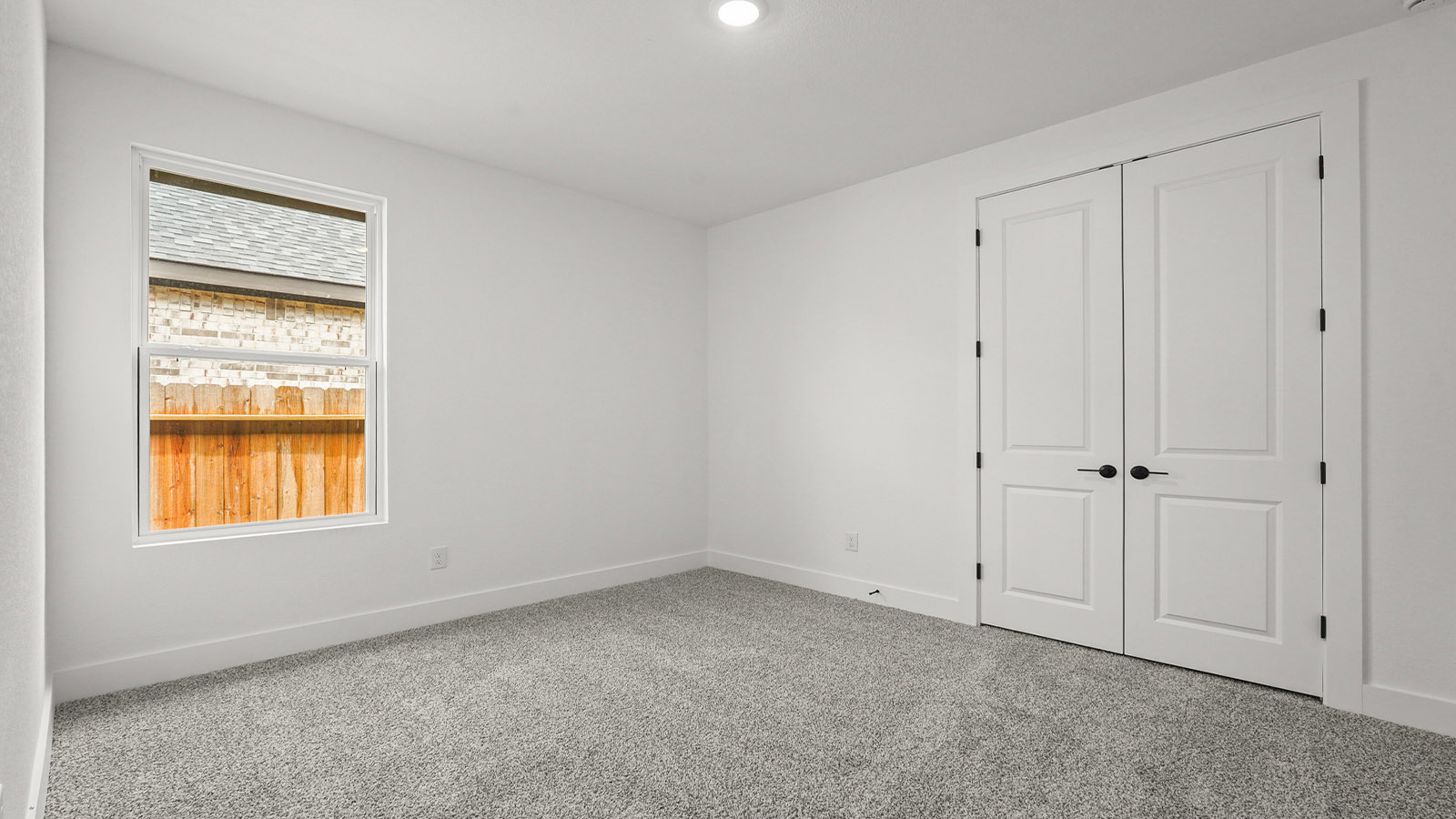 Secondary bedroom with shag carpet flooring and bright window