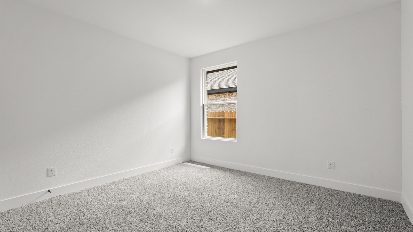 Secondary bedroom with shag carpet flooring and bright window