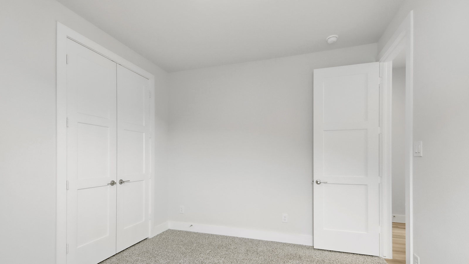Secondary bedroom with shag carpet flooring and bright window
