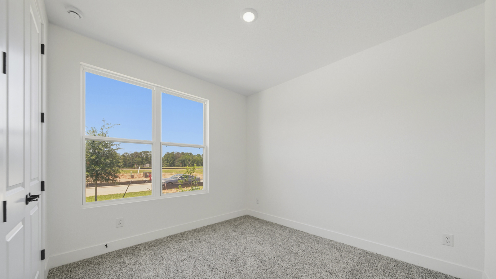 Secondary bedroom with shag carpet flooring and bright window