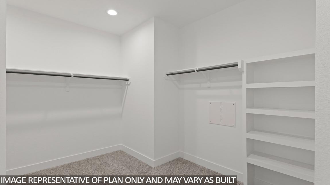 Primary walk-in closet with carpet flooring
